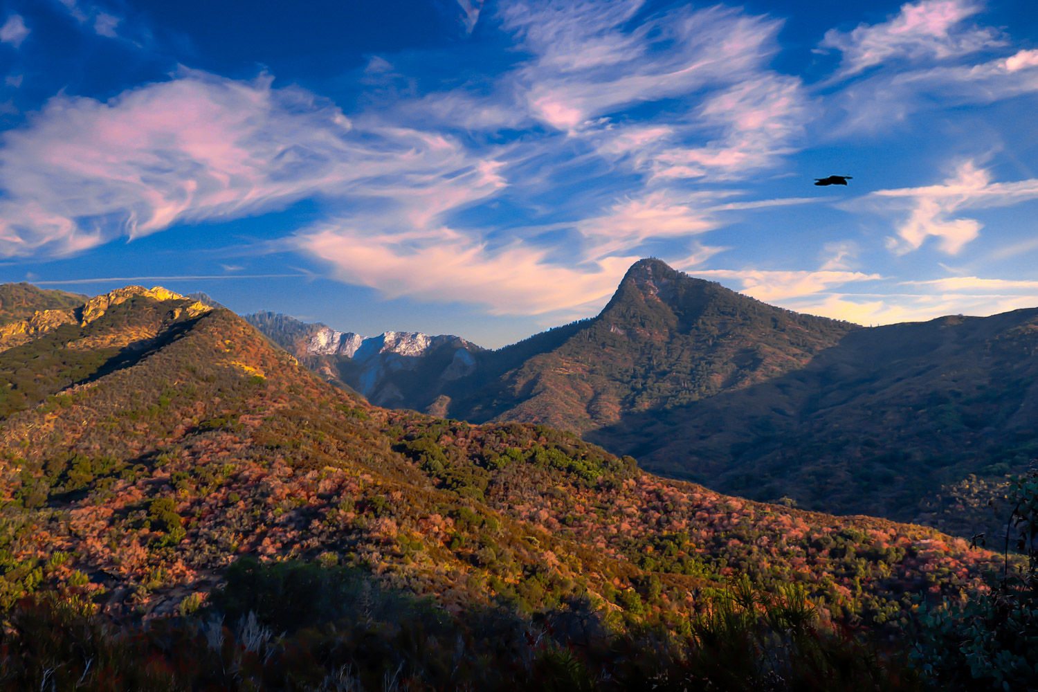 Sequoia National Park
